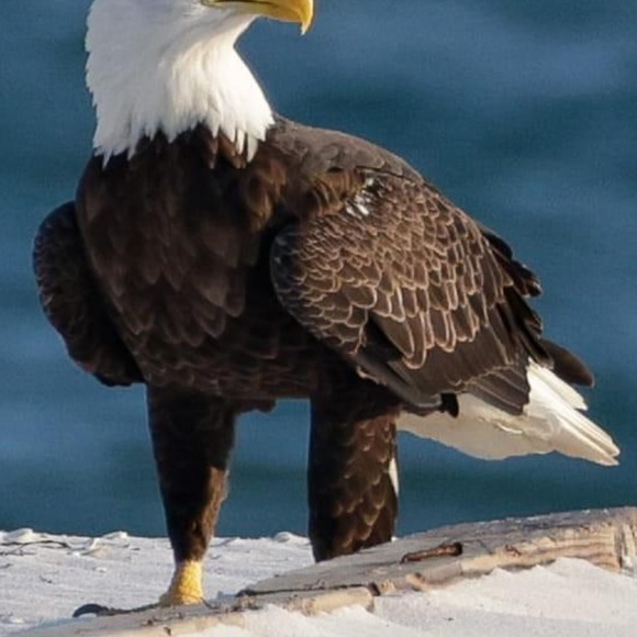 Meet your Posher, Jason - Picture 13 of 16